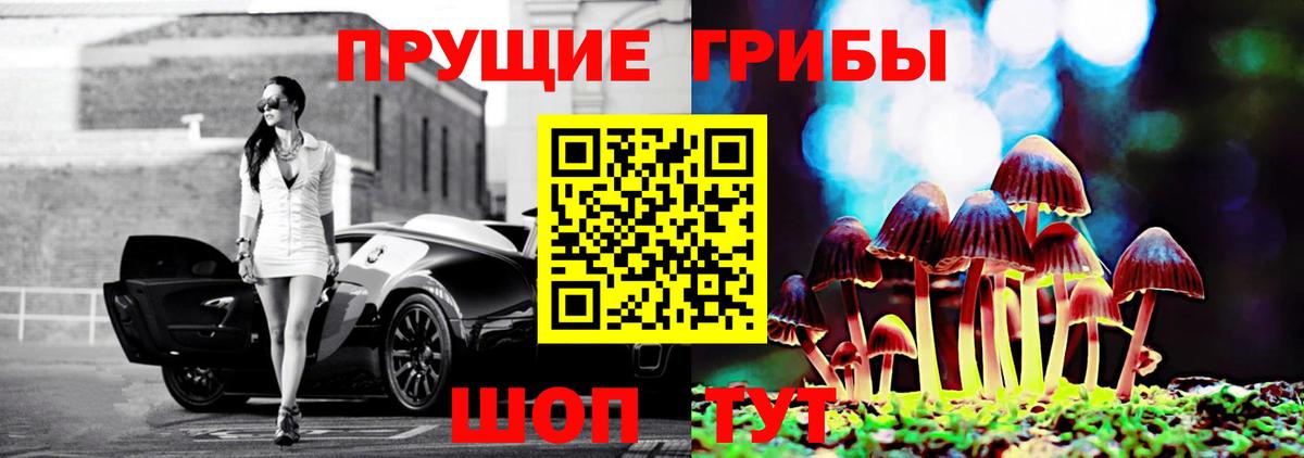Кумертау  даркнет сайт  Вход с VPN  Галлюциногенные грибы Cubensis 
