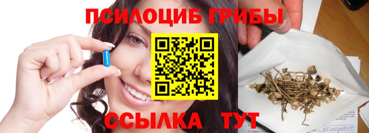 Псилоцибиновые грибы Psilocybe Кумертау